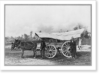 Sand Hill Supply Company, a covered wagon with a butchered hog swinging from back end, Southern Pines, N.C, Vintage Wall Art