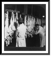 Chicago - Meat Packing Industry - Swift's Packing House: washing and tagging freshly killed lamb, Antique Print