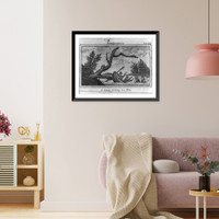 Historic Framed Print, A canoe striking on a tree,  17-7/8" x 21-7/8"