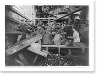 Breaker boys in Kohinor mine, Shenandoah City, Pa, Antique Poster