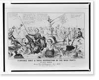 Terrible rout & total destruction of the Whig Party. In Salt River, Vintage Print