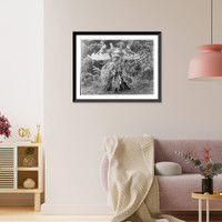 Historic Framed Print, Sisiutl. Qagyuhl,  17-7/8" x 21-7/8"