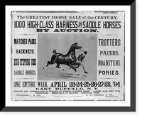 The Greatest Horse Sale of the Century - 1000 High-Class Harness and Saddle Horses by Auction, Antique Print