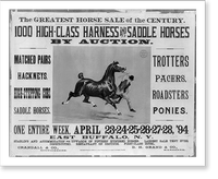 The Greatest Horse Sale of the Century - 1000 High-Class Harness and Saddle Horses by Auction, Antique Print