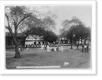 Historic Framed Print, [Guard Mount of Cal. Heavy Artillery, Cavite, Philippines],  17-7/8" x 21-7/8"