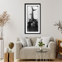 Historic Framed Print, [H.W. Adams of Vermajo Park, N.M. The World's record swordfish caught by Adams and Capt. K. Walker, Santa Catalina Island, Calif., Aug. 3, 1916],  17-7/8" x 21-7/8"