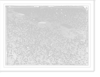 Historic Framed Print, Crowd listening to T.R. speak, Chicago,  17-7/8" x 21-7/8"