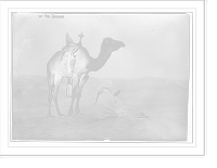 Historic Framed Print, In the Sahara man and camel,  17-7/8" x 21-7/8"
