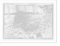 Historic Framed Print, Suffrage meeting, N.Y.,  17-7/8" x 21-7/8"