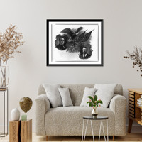 Flying eagle holding 2 U.S. flags, between bust portraits of William McKinley and Theodore Roosevelt, Antique Poster