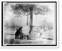 Old African-American man selling strawberries on street, Washington, D.C. - two small boys, one White and one African-American, are looking at the strawberries, Antique Poster