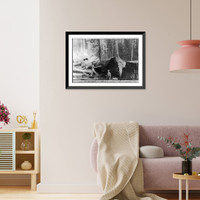 Historic Framed Print, Vance's Logging Claim: man sawing through large log; boy standing in foreground,  17-7/8" x 21-7/8"