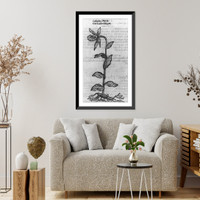 Historic Framed Print, Our ladies slipper [flower],  17-7/8" x 21-7/8"
