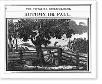 Historic Framed Print, Autumn or fall,  17-7/8" x 21-7/8"