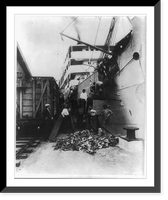 United Fruit Co. activities, 1948: unloading fruit from railcar to freighter, Historic Print
