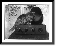 Cat looking into radio speaker, 1926 Classic, Historic Print