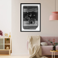 Hagenbeck's trained animals, Vintage Print