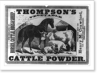 Thompson's vegetable cattle powder For diseases of horses, cattle, hogs & sheep.S, Antique Print