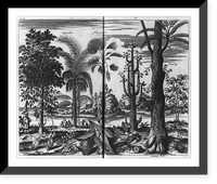 The pepper, sagoe, huntsmans, dogs tongue and blimbing trees, with their fruits" East Indies?", Vintage Print