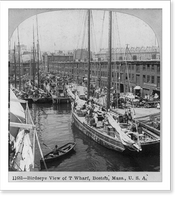 Historic Framed Print, Bird's-eye view of T Wharf, Boston, Mass.,  17-7/8" x 21-7/8"