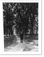 Retired president of Princeton, James McCosh, walking on campus of Princeton, with cane, Vintage Print