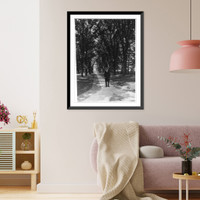 Retired president of Princeton, James McCosh, walking on campus of Princeton, with cane, Vintage Print