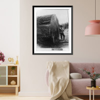 Fir log, suppsed to be 129 years older than Methusela, Vintage Wall Art