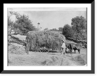 Historic Framed Print, Orchard haying,  17-7/8" x 21-7/8"