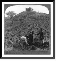 Grave mound of Greek heroes who routed the outnumbering Persians in 490 B.C. - Marathon, Greece, Vintage Print