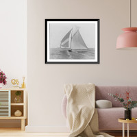 Historic Framed Print, [Sailboats sailing]: SHAMROCK,  17-7/8" x 21-7/8"