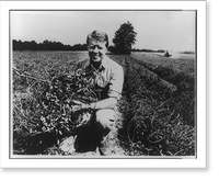 Jimmy Carter, Pres. U.S., 1924- Classic, Historic Print