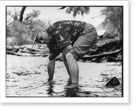 James Michner in Hawaii, May 1954: bent over in shallow water with pants rolled up, Antique Poster
