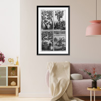 Philippine Islands fruits and A Boat of the Marian (Marianas) Islands"" Classic, Vintage Wall Art