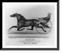 Historic Framed Print, Bodine: The trotting whirlwind of the West,  17-7/8" x 21-7/8"