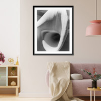 Historic Framed Print, [Abstraction (close up of lily)],  17-7/8" x 21-7/8"