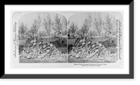 Human bones exhumed from graves, Havana, Cuba, Vintage Wall Art