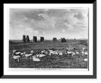 Historic Framed Print, Roma - Acquedotto di Claudio con buoi,  17-7/8" x 21-7/8"