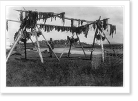 Historic Framed Print, Eskimos in Alaska: Drying whale meat, Hooper Bay,  17-7/8" x 21-7/8"