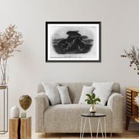 Historic Framed Print, Black Vulture,  17-7/8" x 21-7/8"