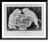 Historic Framed Print, Little white kitties: fishing,  17-7/8" x 21-7/8"
