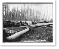 Fish trap piles, length 120 ft. Classic, Antique Wall Art