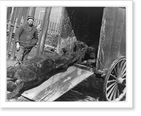 Dead animal wagon in operation Classic, Vintage Poster