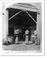 Historic Framed Print, [African Americans working, Charleston, S.C.: Cotton warehouse, carrying cotton] - 2,  17-7/8" x 21-7/8"