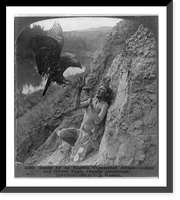 Dazed by an eagle's unexpected attack - Indian and golden eagle (Aguila canadensis), Antique Poster