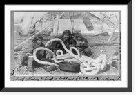 Historic Framed Print, Eskimos shading behind a walrus blubber at Indian Point,  17-7/8" x 21-7/8"