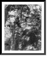 Historic Framed Print, [Nude youth with laurel wreath(?) holding up torch, standing on cliff],  17-7/8" x 21-7/8"