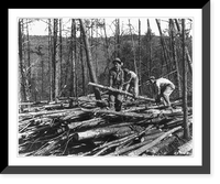 Historic Framed Print, [Civilian conservation corps enrollees engaged in reforestation - 3 young men moving logs],  17-7/8" x 21-7/8"