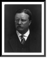 Historic Framed Print, Theodore Roosevelt - 3,  17-7/8" x 21-7/8"