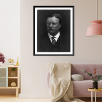 Historic Framed Print, Theodore Roosevelt - 3,  17-7/8" x 21-7/8"