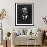 Historic Framed Print, Theodore Roosevelt - 3,  17-7/8" x 21-7/8"